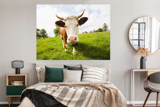 Poster Vache - Lumière - Ombre - 160x120 cm XXL