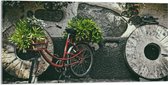 WallClassics - Acrylglas - Rode Fiets versierd met Planten tegen Stenen Muur - 100x50 cm Foto op Acrylglas (Wanddecoratie op Acrylaat)