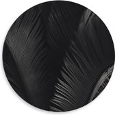 Dibond Muurcirkel - Zwarte Veren - 50x50 cm Foto op Aluminium Muurcirkel (met ophangsysteem)