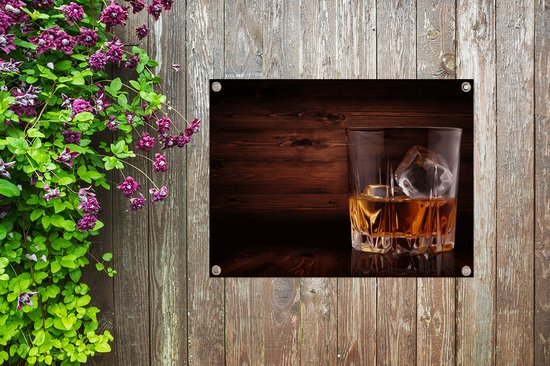 Décoration de Jardin Whisky - Alcohol - Glas - 40x30 cm - Toile de jardin - Affiche extérieure