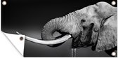 Tuinposter Olifant - Water - Dieren - Zwart - Wit - 60x30 cm - Tuindoek - Buitenposter