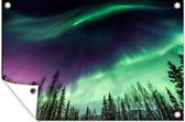 Muurdecoratie Noorderlicht - Naaldboom - Alaska - 180x120 cm - Tuinposter - Tuindoek - Buitenposter