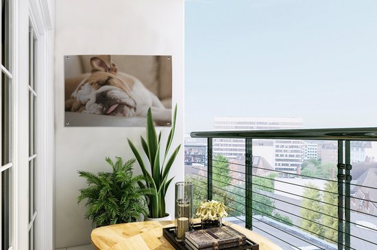 Bulldog anglais dort sur le canapé Affiche de jardin 60x40 cm - petit - Toile de jardin / Toile d'extérieur / Peintures pour l'extérieur (décoration de jardin)