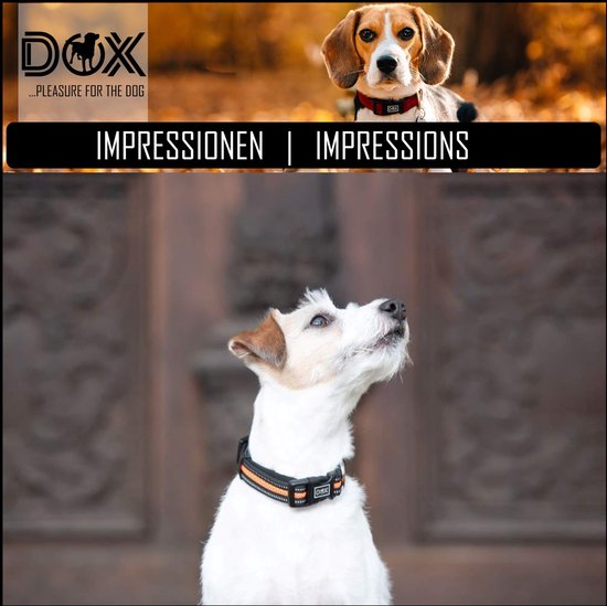 DDOXX® Halsband hond, voor grote en kleine honden - Verschillende kleuren - Air Mesh - Reflecterend, verstelbaar, gewatteerd - DDOXX