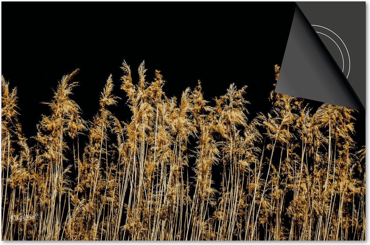 Inductie beschermer 76x51,5 - afdekplaat inductie mat - Dietrix Kookplaat beschermer - DELUXE - Black en Gold - Gras pluimen