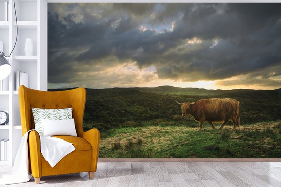 Papier peint Papier peint photo en vinyle - Highlander pendant le coucher du soleil largeur 450 cm x hauteur 300 cm - Tirage photo sur papier peint (disponible en 7 tailles)