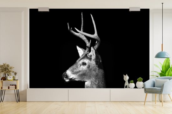 Papier peint - Papier peint Papier peint photo Profil animal cerf en noir et blanc - Largeur 360 cm x hauteur 240 cm