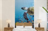 Behang - Fotobehang Schildpad bij koraalrif - Breedte 120 cm x hoogte 240 cm