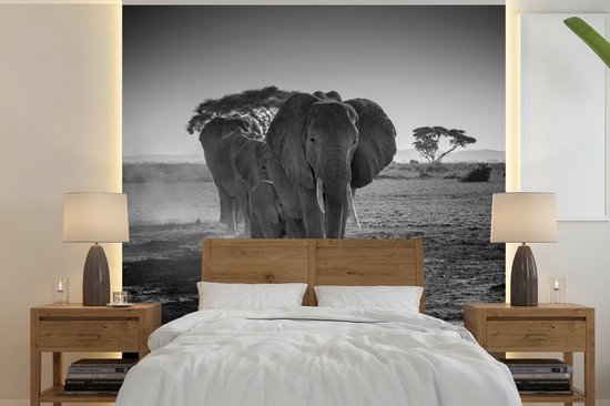 Behang - Fotobehang Olifanten in Kenia in zwart-wit - Breedte 300 cm x hoogte 300 cm