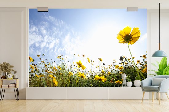 Champ jaune de fotobehang de fleurs