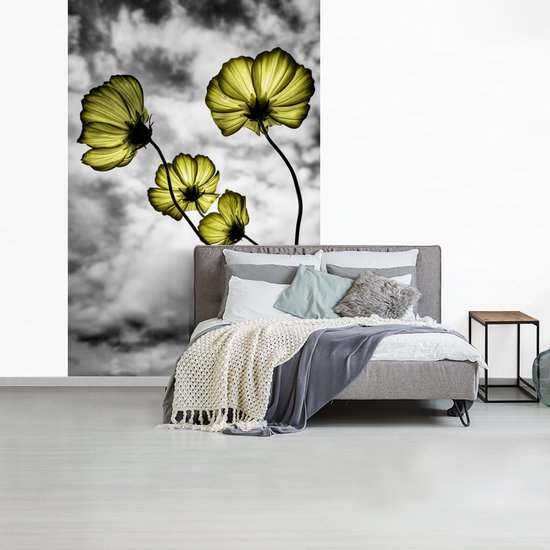 Papier Peint - Papier Papier peint photo Fleurs - Zwart - Wit - Jaune - Largeur 170 cm x Hauteur 260 cm