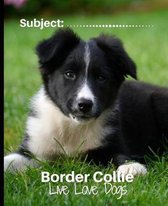 Border Collie - Live Love Dogs!