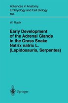 Advances in Anatomy, Embryology and Cell Biology 164 - Early Development of the Adrenal Glands in the Grass Snake Natrix natrix L. (Lepidosauria, Serpentes)