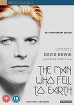 Man Who Fell To Earth (DVD)