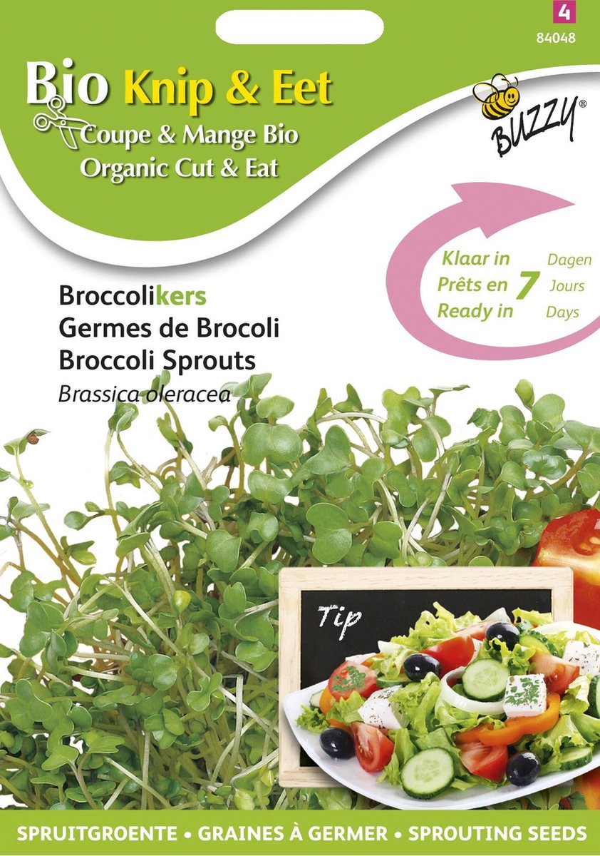 Buzzy® Organic Sprouting Broccolikers (BIO) - Buzzy Seeds Thema