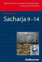 Boek 'Sacharja 9-14' van Paul R. Raabe, met een afbeelding van een oude inscriptie.