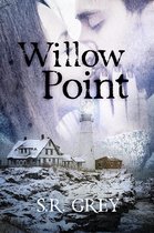 A Harbour Falls Mystery 2 - Willow Point