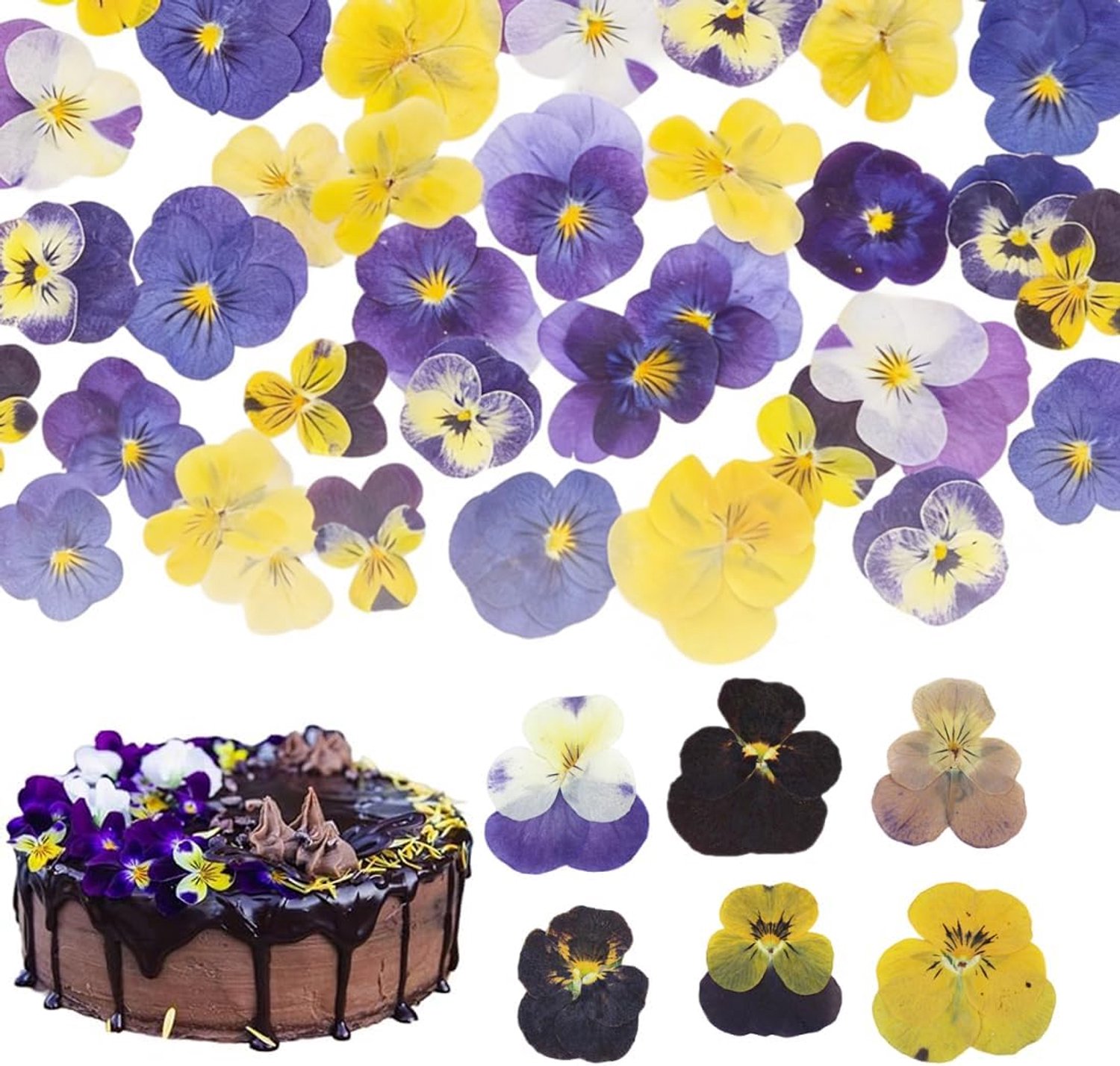 Eetbare bloemen 30 stuks - 6 soorten gedroogd - mix driekleurige viola - perfect voor taartopzetstukken - Vemera