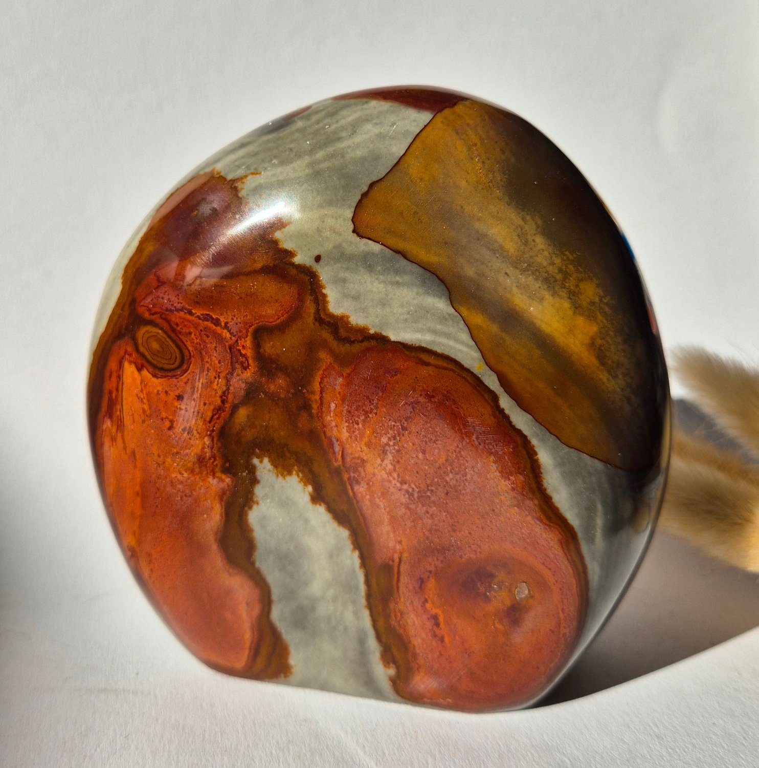 Moonlight Gemstones Edelsteen Spiritueel Statement piece Polychrome Ocean Jasper Freeform – 734g Meerkleurig