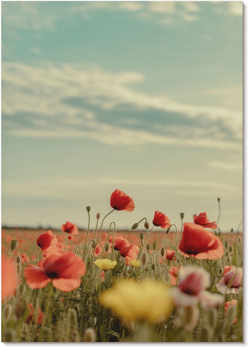 Tulup Polycanvas Poster - Zomerbloemen, Fotografie - A4 - Rood Motief - Rechthoek - Wandkunst - Woonkamer, Slaapkamer, Kantoor - Vintage