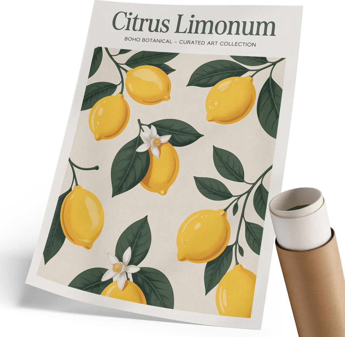 Coloray Canvas Poster Polycanvas - Citrus Limonum, Illustratie - 210 x 297 mm - Geel Decoratie - Rechthoek - Kunstposter - Woonkamer, Slaapkamer, Kantoor - Boho