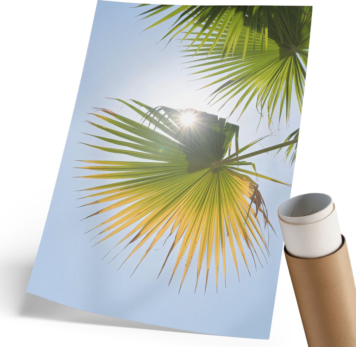 Coloray Polycanvas Poster - Tropische Palmbomen, Fotografie - 210 x 297 mm - Groen Wanddecoratie - Rechthoek - Kunstposter - Woonkamer, Slaapkamer, Kantoor - Klassiek
