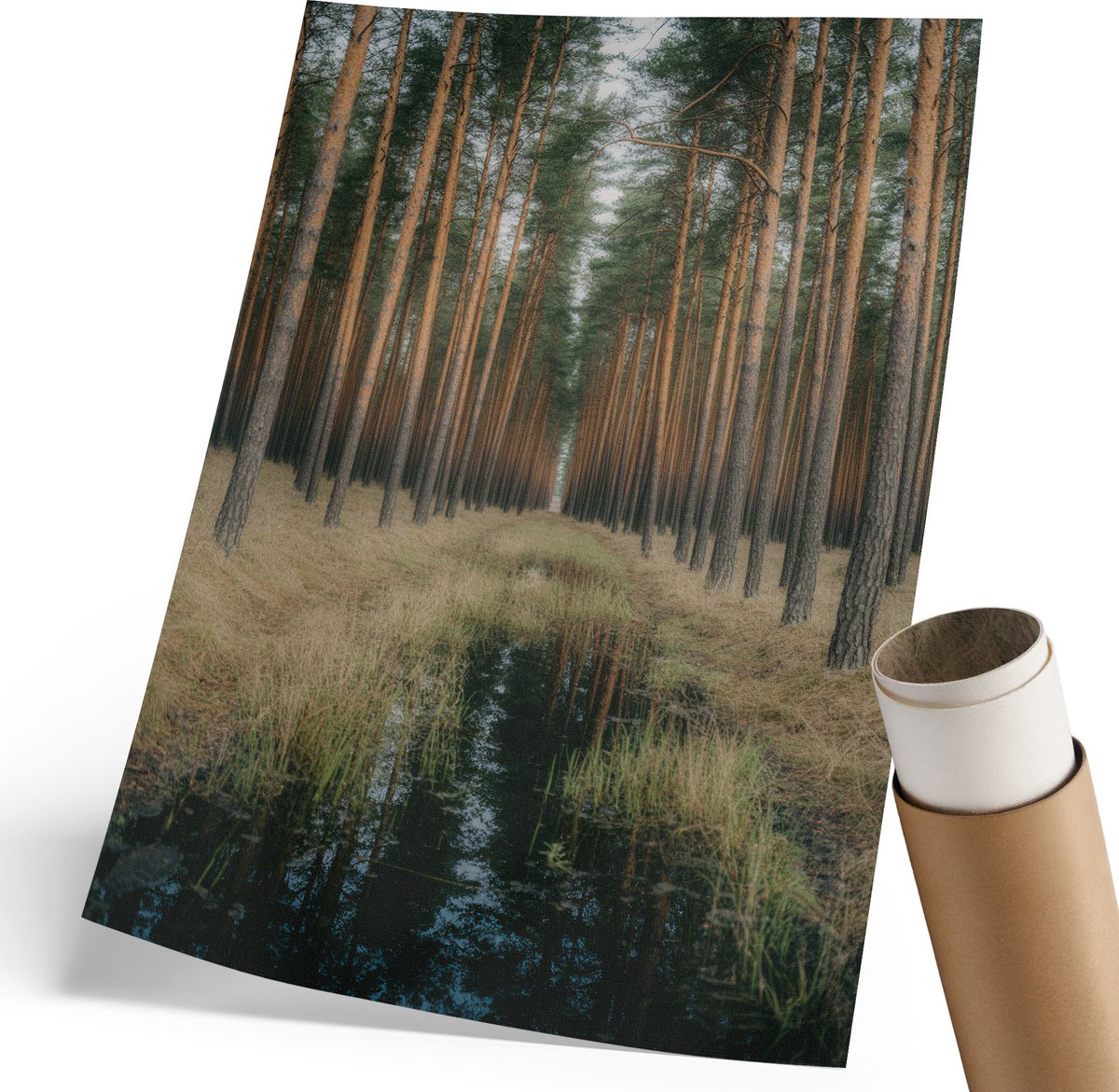 Coloray Polycanvas Wandposter - Boom In De Mist, Grijs - 210 x 297 mm - Bruin Design - Rechthoek - Canvasposter - Woonkamer - Klassiek