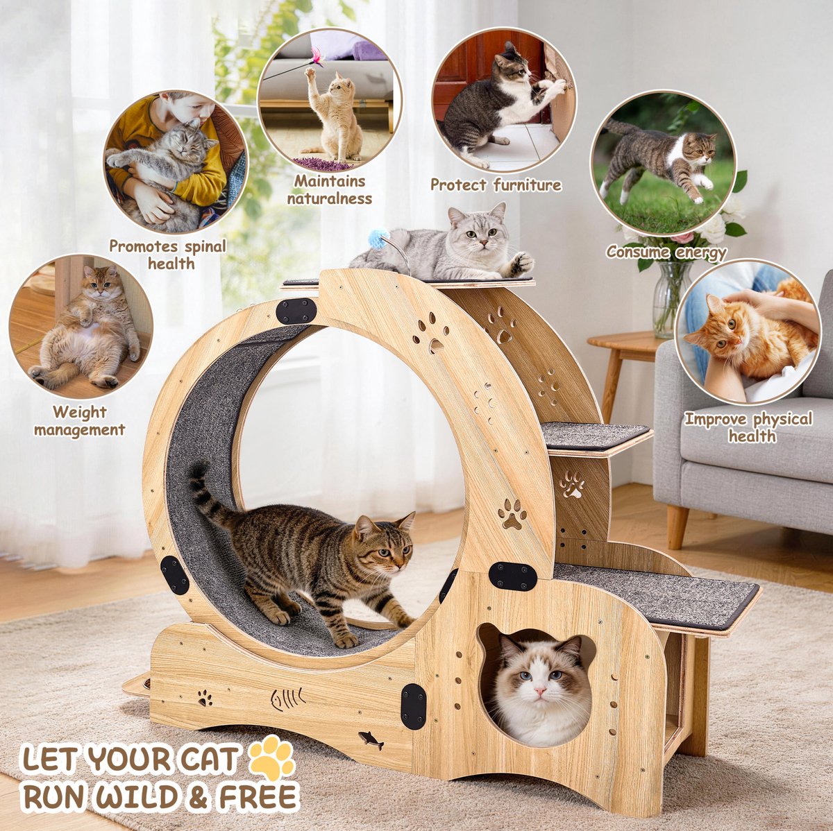 MIVRAY Kattenloopwiel - 6 In 1 Multifunctioneel - 107 x 80 x 32 cm - Hout - Natureel Hout - Voor Binnenkatten En Kleine Honden