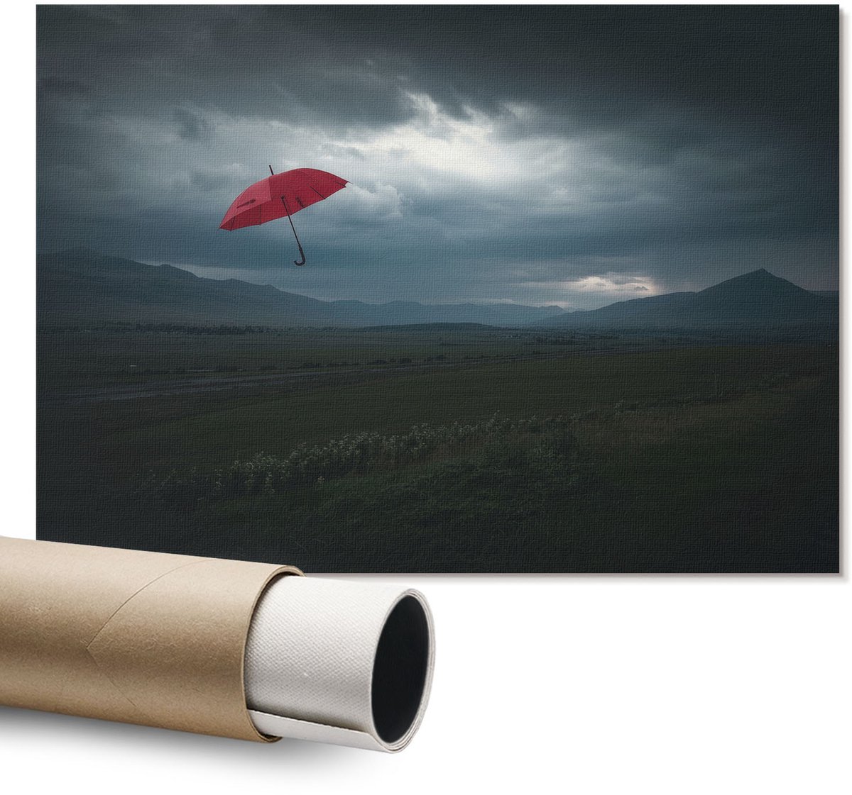 Coloray Polycanvas Wandposter - Slangenposter, Poster - A1 - Zwart Wandposter - Rechthoek - Canvasposter - Woonkamer - Expressief