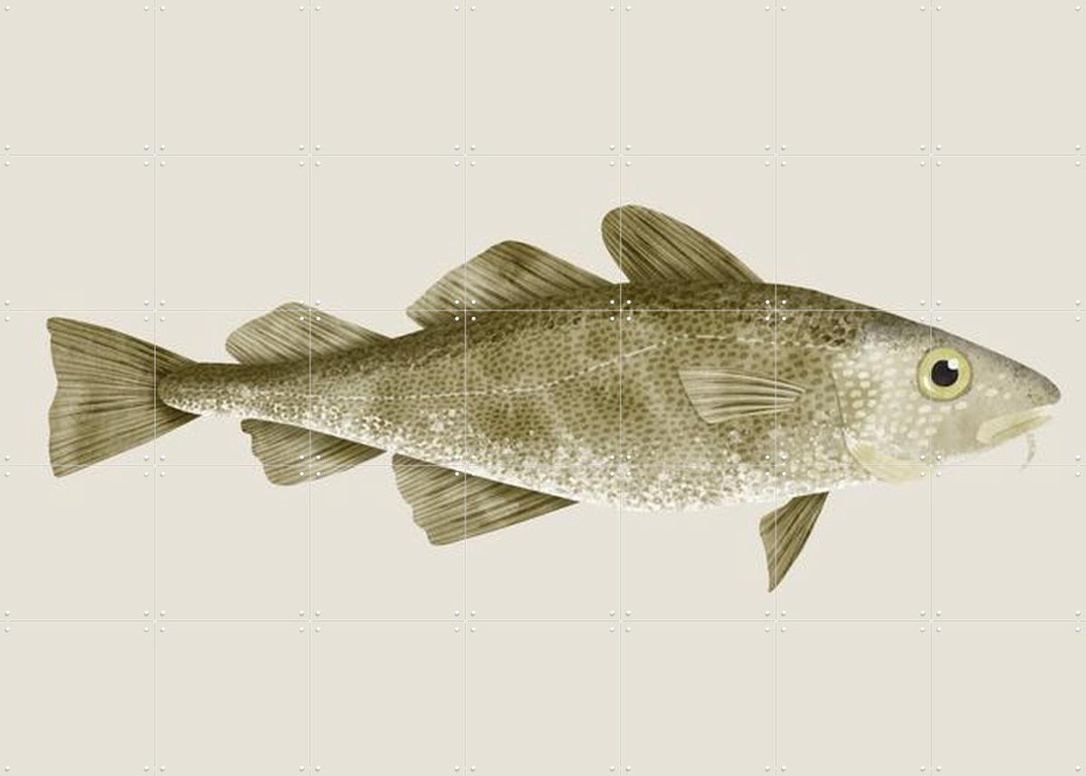 IXXI Codfish, Merel Corduwener - 140 x 100 cm - Gratis ophangtool - Grote wanddecoratie en posters - Illustraties, Keuken, Eetkamer, Woonkamer