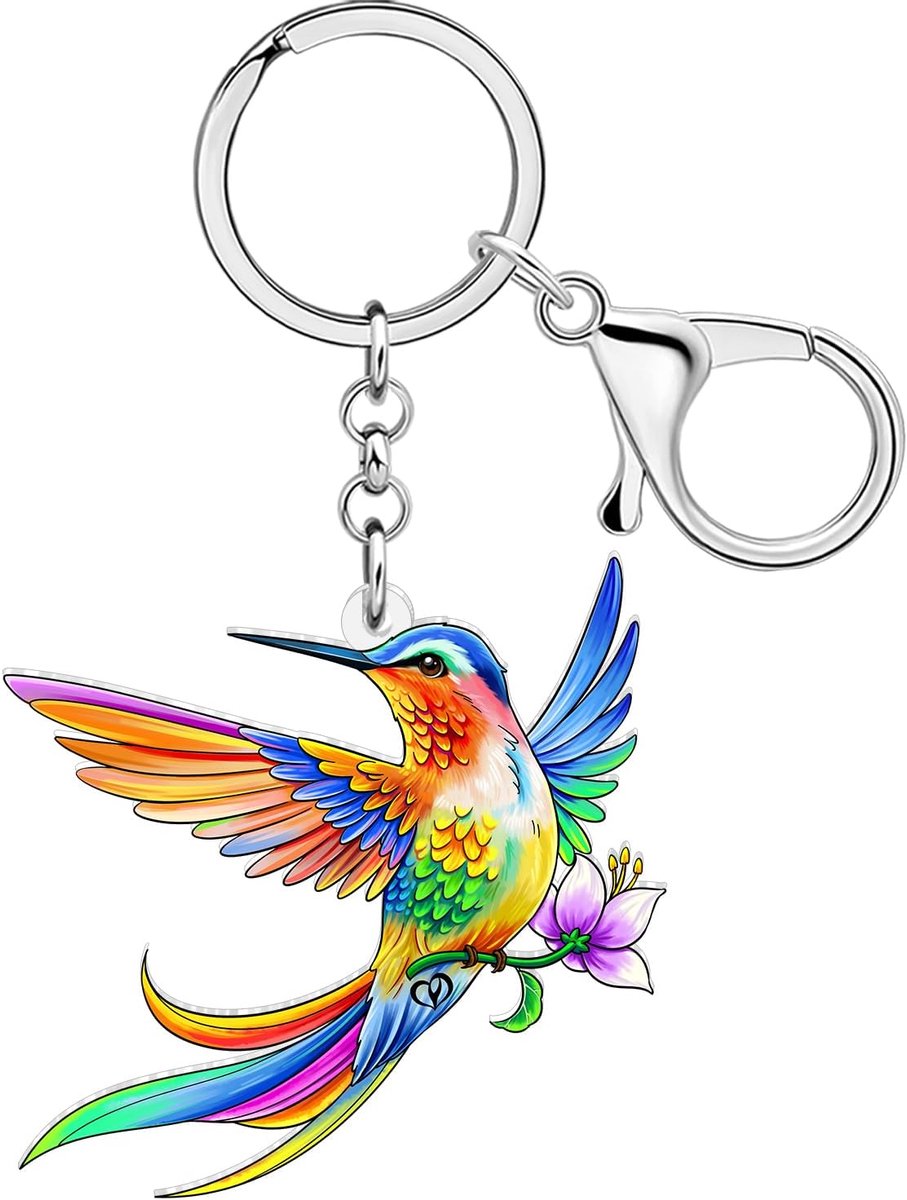 Leuke Kolibrie Sleutelhanger Autosleutels Portemonnee Rugzak Sleutelhanger Kettingen Voor Vrouwen Meisjes Vogelliefhebber Geschenken Accessoires