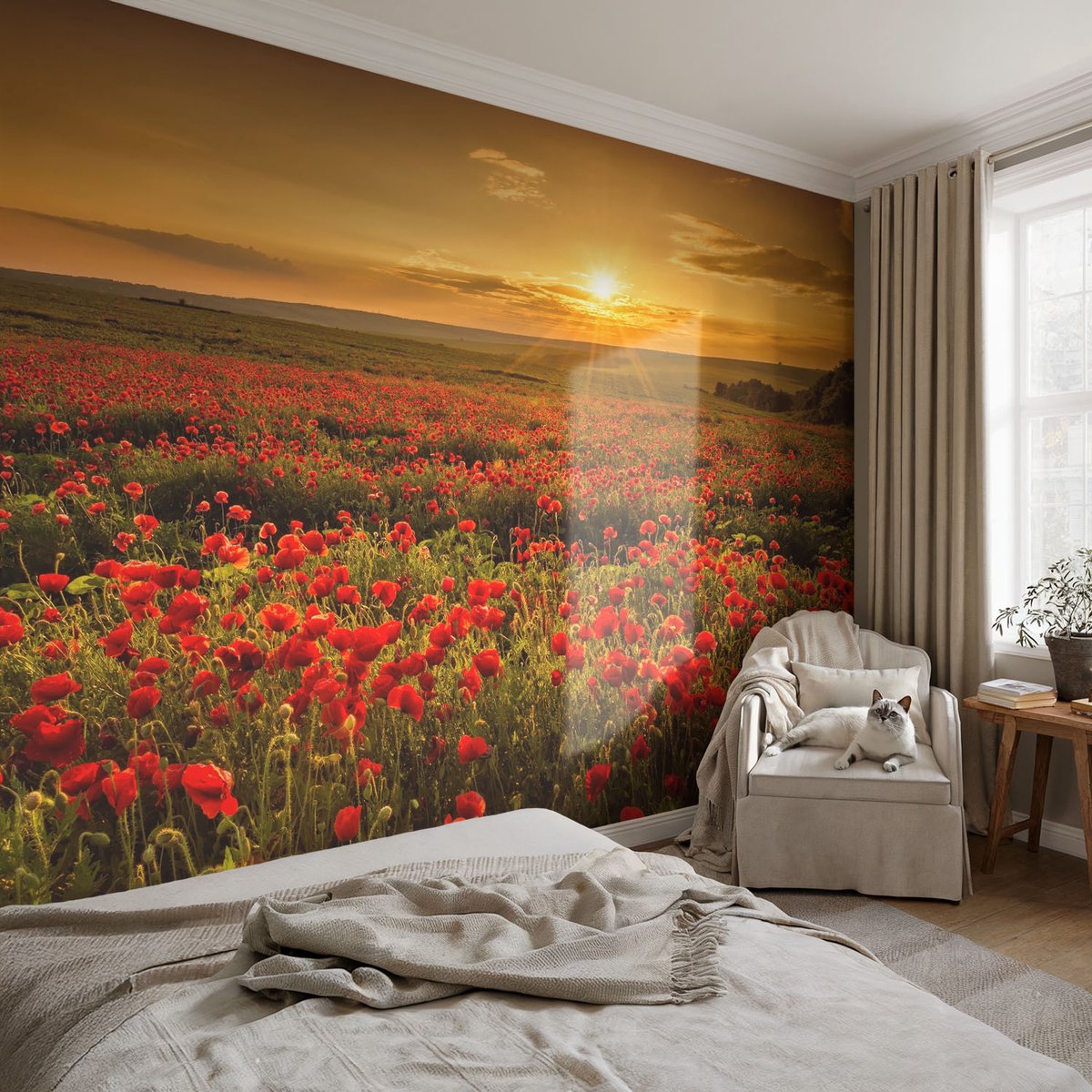 Coloray Vliesbehang - Rood Snellijm Behang - 104x70 cm - Papaverveld Fotobehang Vlies - Hal behang Landschappen - Muurschildering - Woonkamer behang