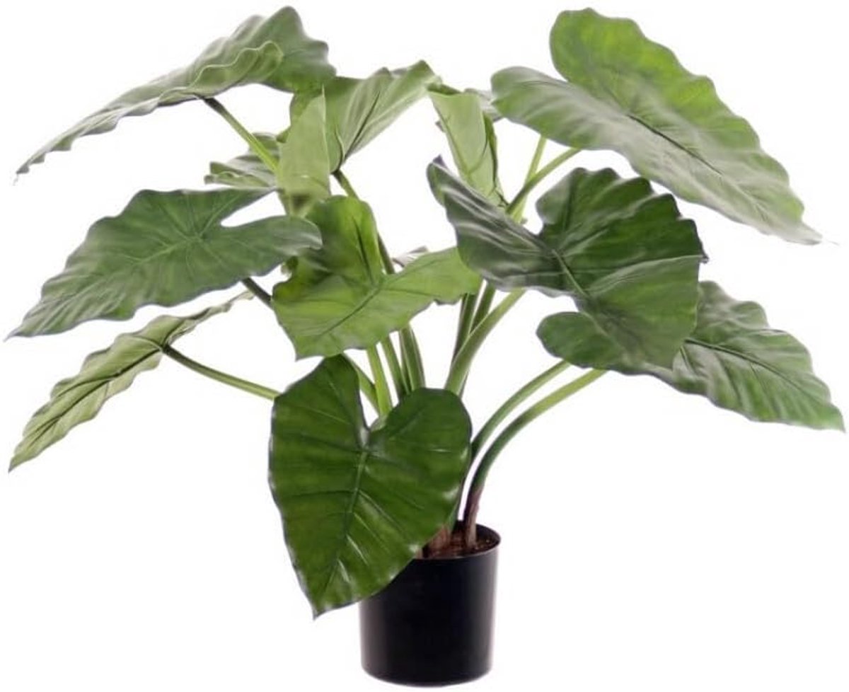 Kunstplant - Olifantsoor Plant - Alocasia calidora hoogte 60cm