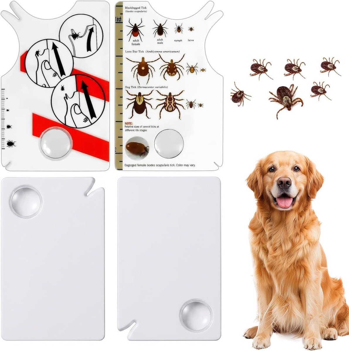 Set van 4 tekenkaarten voor mensen en honden, katten, mens, kinderen, met vergrootglas, teken verwijderen snel en veilig, tekenverwijderaar, outdoor noodgereedschap