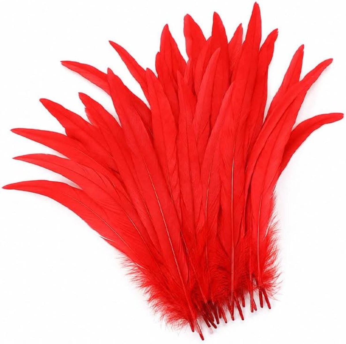 Veren, 25-30 cm, om te knutselen (rood)