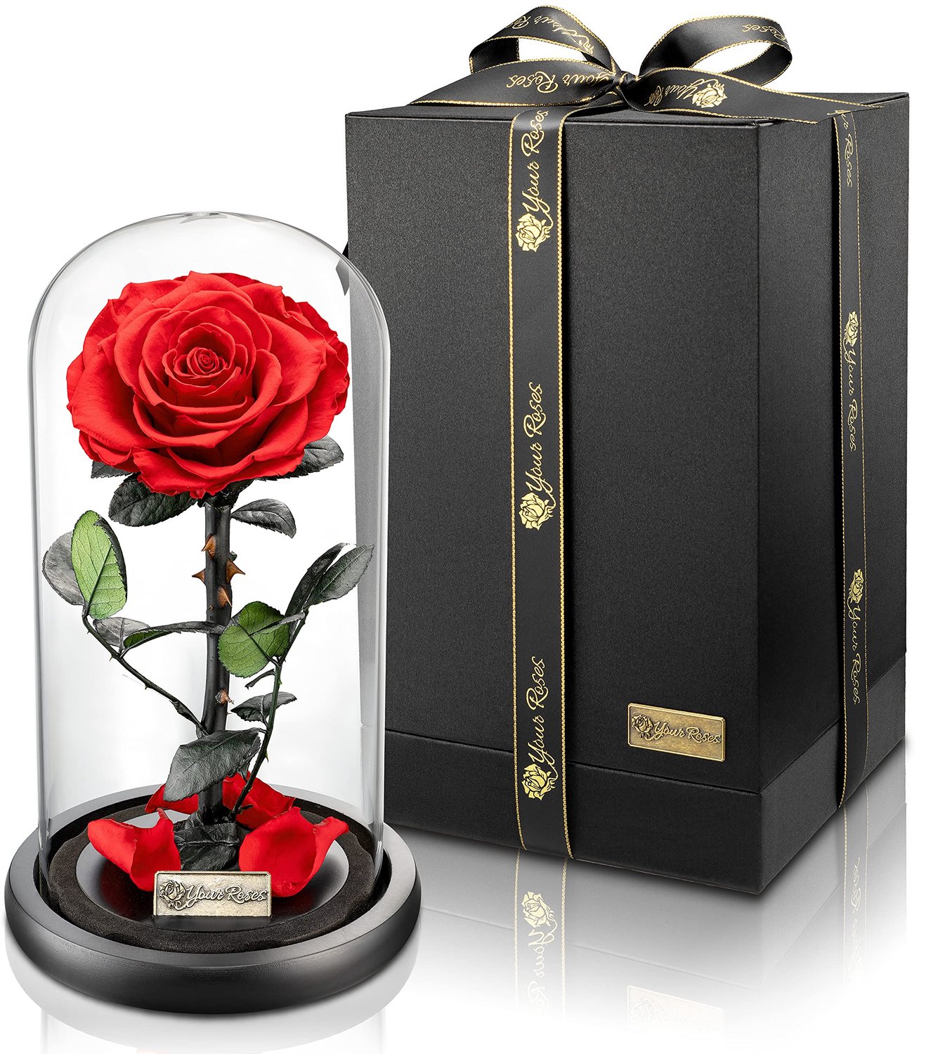 SnelShoppen - Premium Roos in Glas met Luxe Geschenkdoos, Lange Houdbaarheid, Perfect Cadeau voor Verjaardag, Valentijn, Jubileum, Bewijs van Liefde