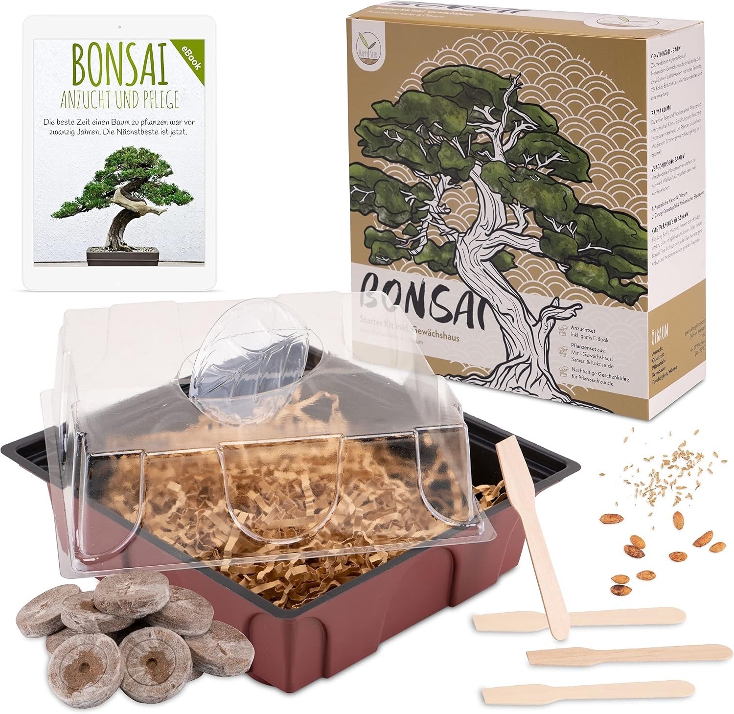 Bonsai Starter Kit - Groen - Plantenset met Minibroeikas, Zaden & Grond - Duurzaam Cadeau-idee voor Plantenliefhebbers