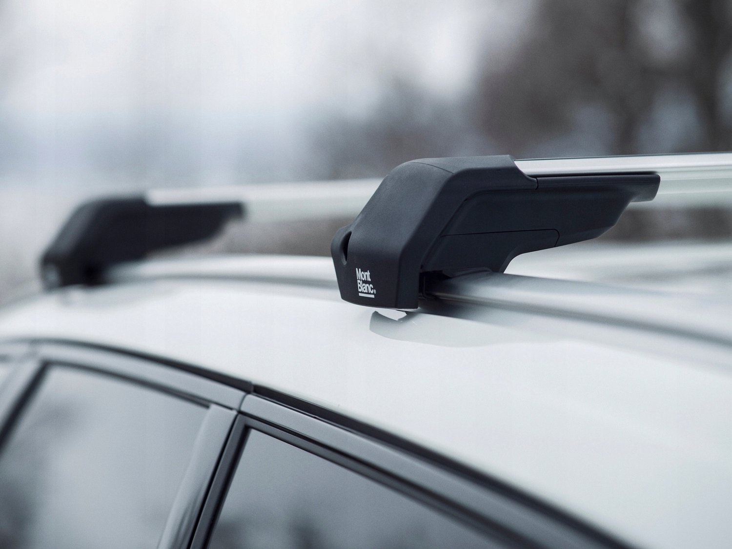 Mont Blanc Xplore Dakdragers Hyundai Santa Fe TM (2019-)