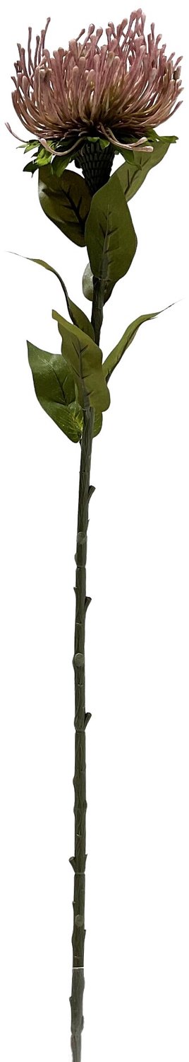 homebound by ky Kunsttak Protea 73cm roze