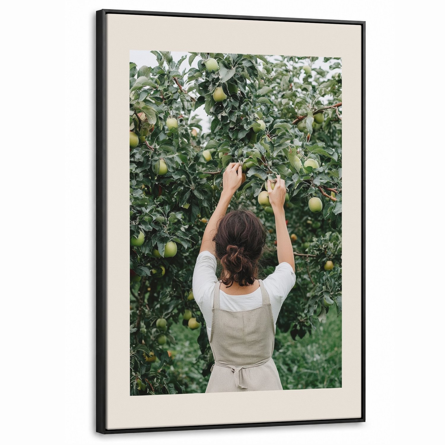 Canvas Schilderij met Baklijst XXL Canvas Schilderij met Baklijst 80x120cm - Boom - Appels - Plukken - Natuur - Muurdecoratie woonkamer - Slaapkamer decoratie - Kamer accessoires - Schilderijen op canvas met lijst groot
