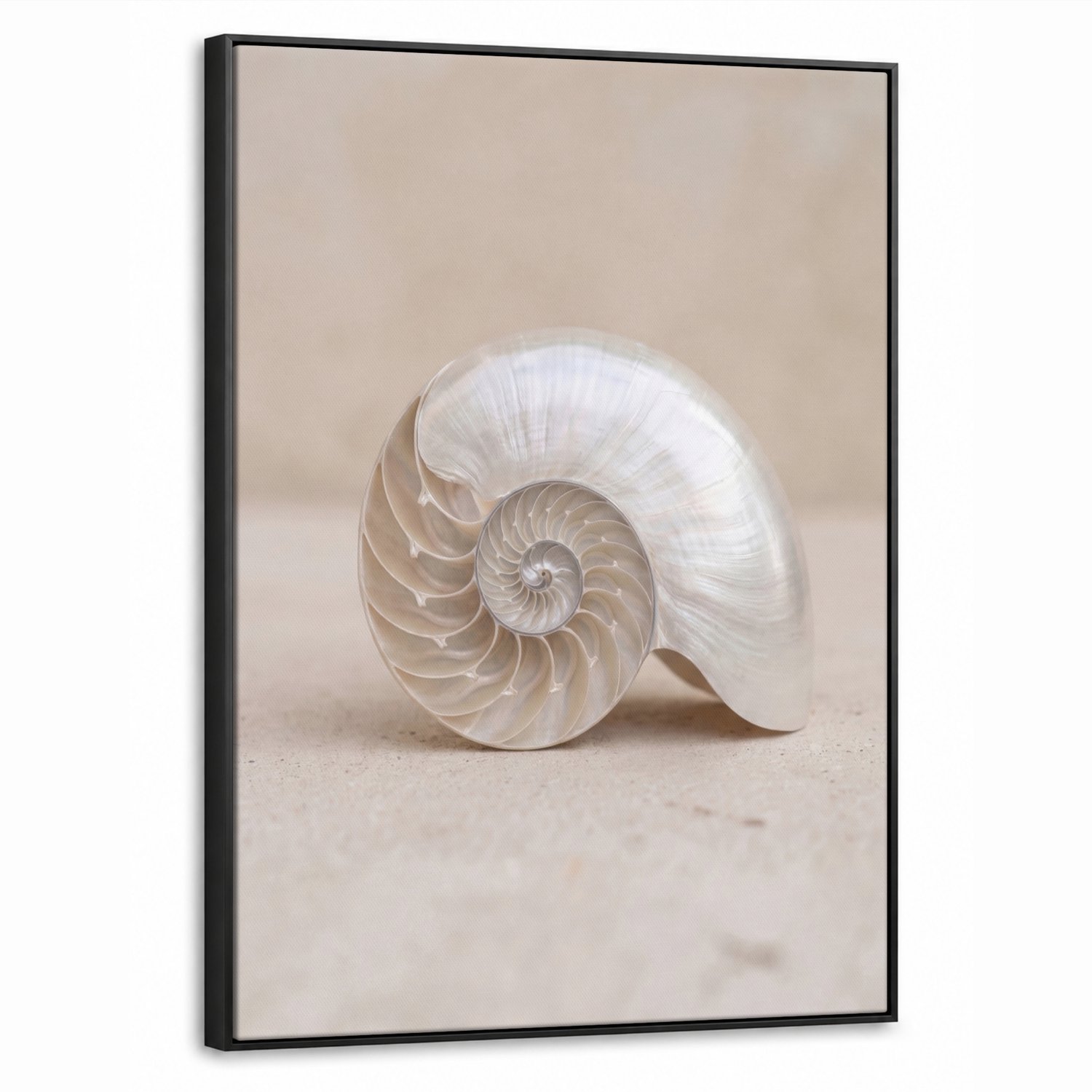 Canvas Schilderij met Baklijst 70x100cm - Schelp - Spiraal - Beige - Muurdecoratie woonkamer - Slaapkamer decoratie - Kamer accessoires - Schilderijen op canvas met lijst