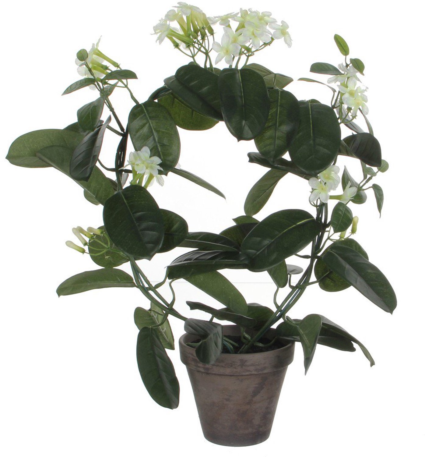 Kunstplant Stephanotis Wit