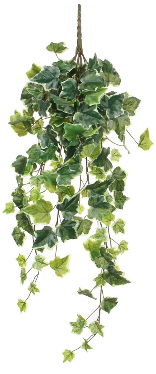 Mica Decorations Hedera Kunst Hangplant - H71 cm - Groen Bont