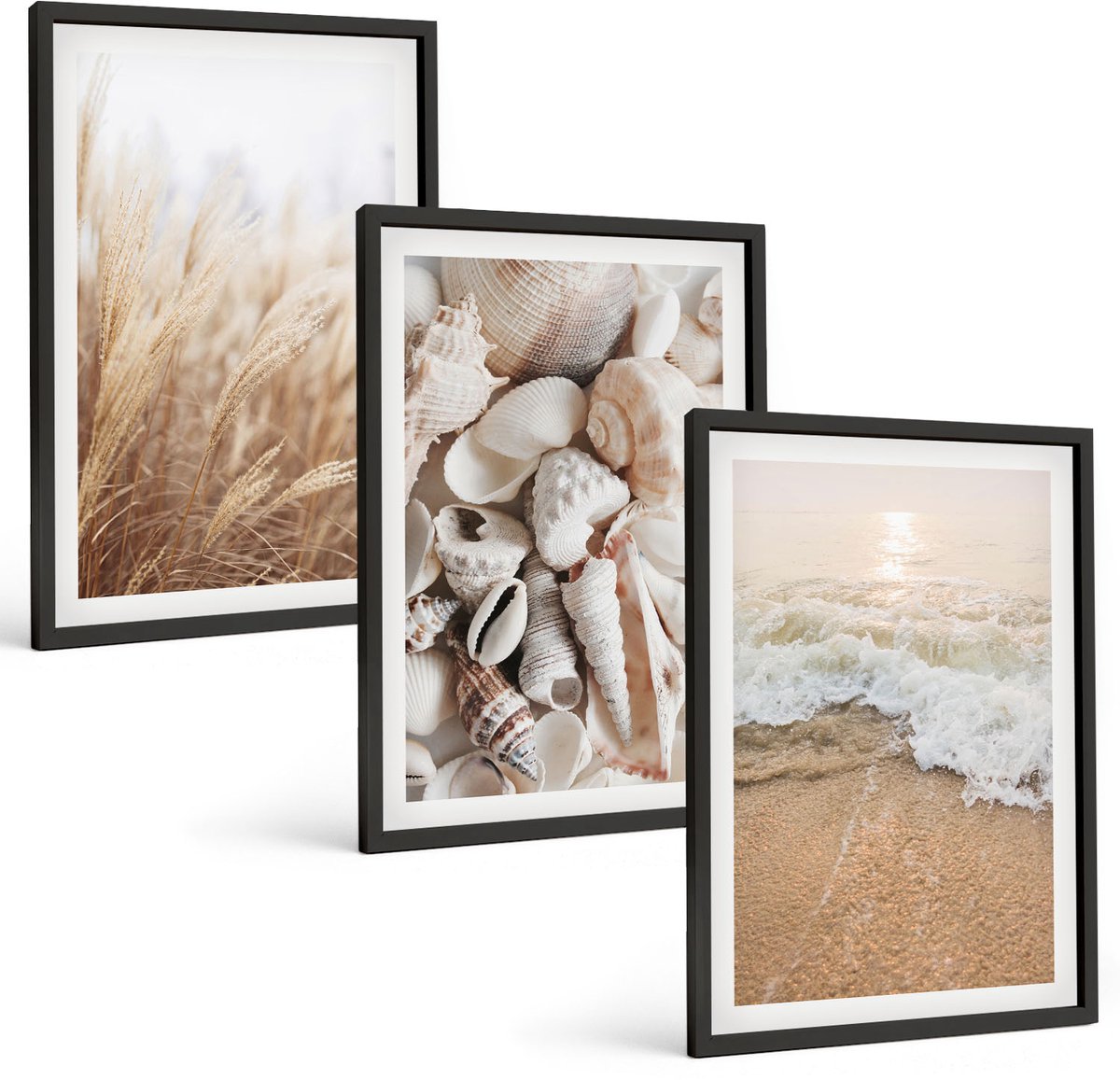Coloray 3-Delige Schilderij Set - Strandthema Met Schelpen En Zeegolven - 40 x 60 cm - Wanddecoratie - Moderne Interieurdecoratie - Woonkamer Decoratie
