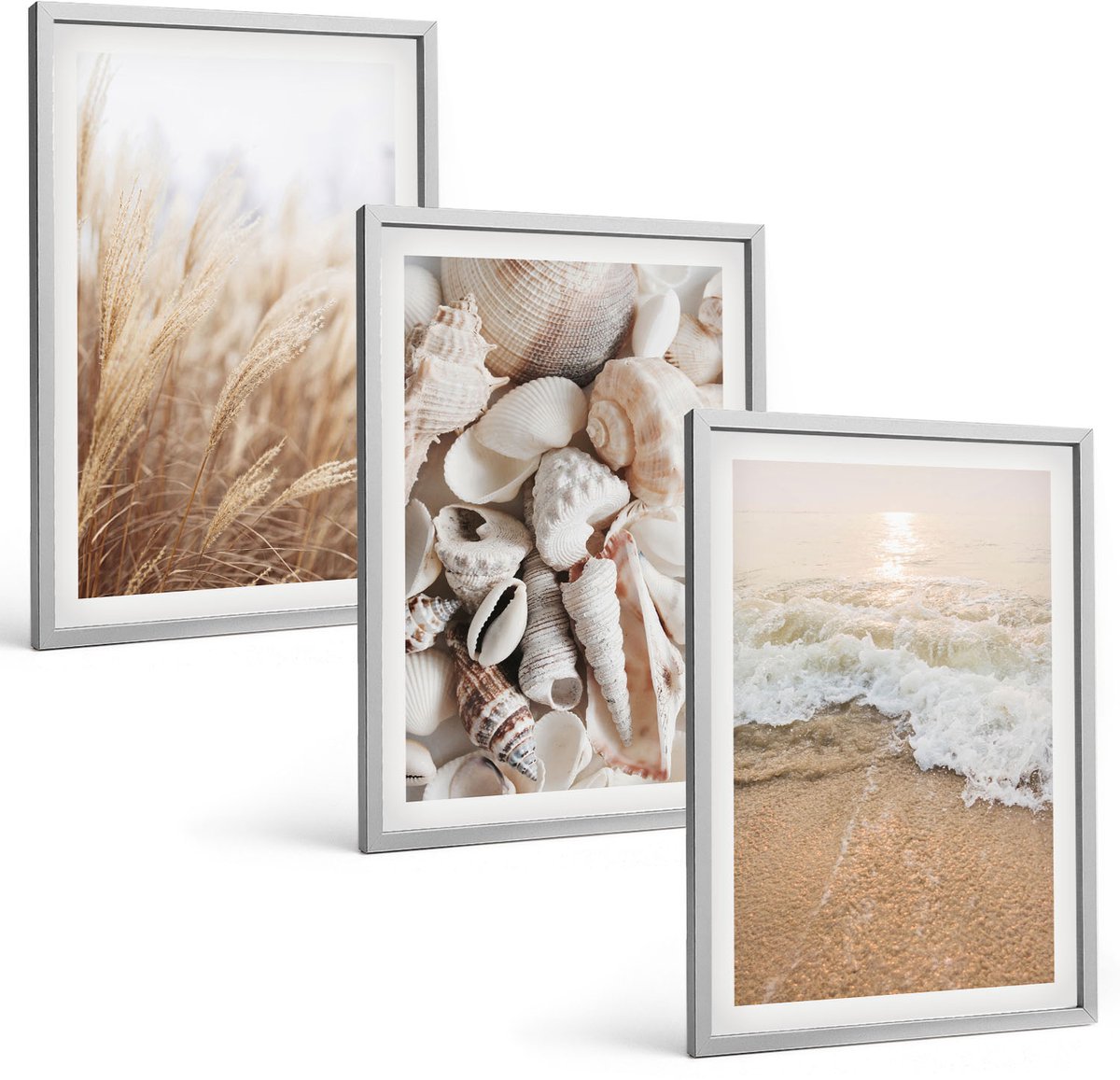 Coloray 3-Delige Schilderij Set - Strandthema Met Schelpen En Zeegolven - 40 x 60 cm - Wanddecoratie - Moderne Interieurdecoratie
