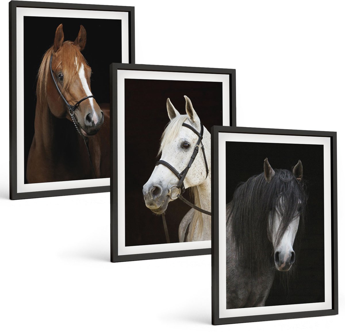 Coloray 3-Delige Schilderij Set - Portretten Van Paarden In Verschillende Vachtkleuren - 40 x 60 cm - Decoratieve Muurdecoratie - Slaapkamer - Interieur Decoratie