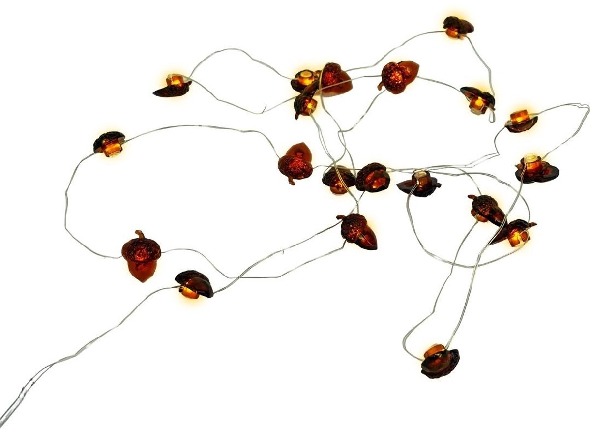 Eikel LED Verlichting - 2m - 20 Lampjes - Herfst Decoratie - Herfst Versiering - LED Lights - Tuinverlichting - Buitenverlichting