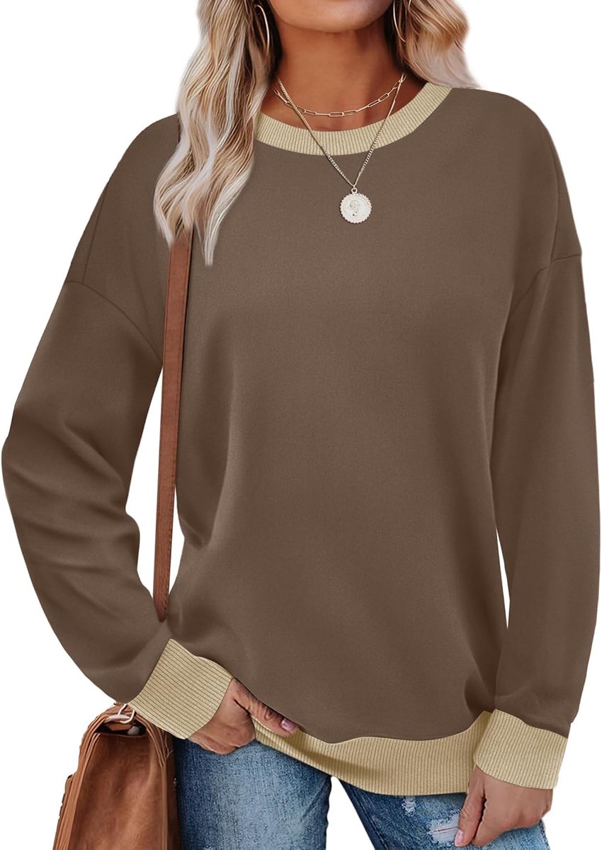 Sweatshirt dames pullover ronde hals lange mouwen herfst winter kleurblok trui casual lange mouwen bovenstuk tuniek tops zonder capuchon