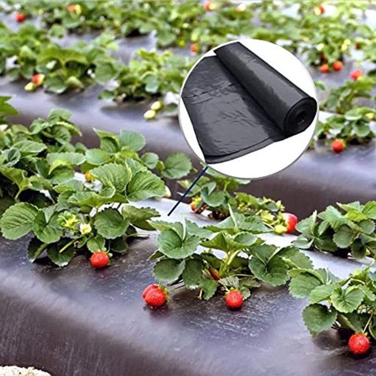 Zwaar onkruidzeil 2 m breed, 15 m lang - UV-bestendige, scheurvaste mulchfolie voor tuin - 30 m² onkruidbescherming