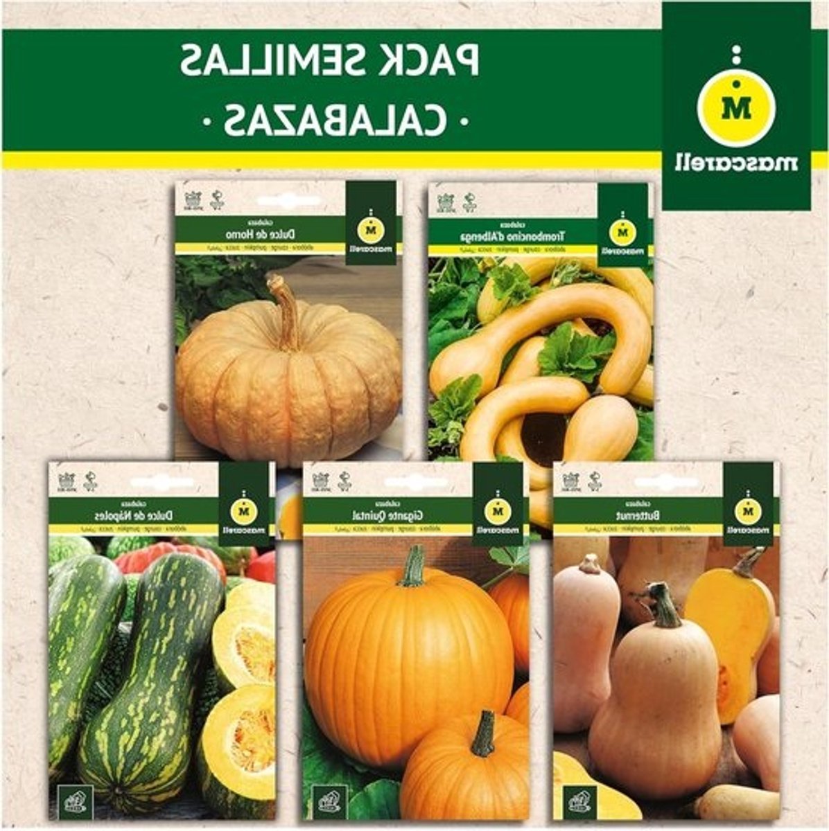 ZADEN Mascarell PAKKET - RADIJZEN - Gemakkelijk Thuis Te Kweken - Bevat 5 Soorten Heerlijke Radijzen - 98 Gram